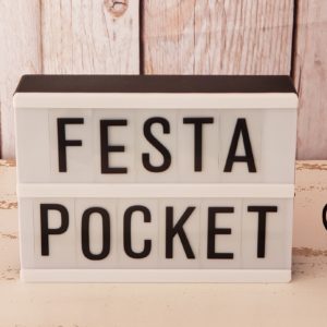 Festa Pocket Minecraft Mod1 (Locação) - Locpocket Locadora Festa Pocket  Ponta Grossa