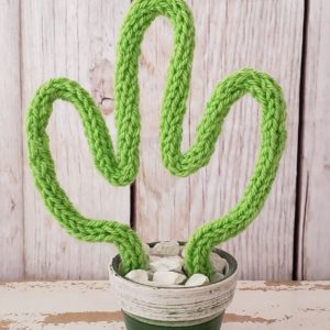 Vaso decorativo Cacto Tricotin