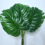 Folha Artificial Costela De Adão