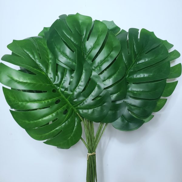 Folha Artificial Costela De Adão