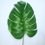 Folha Artificial Costela De Adão