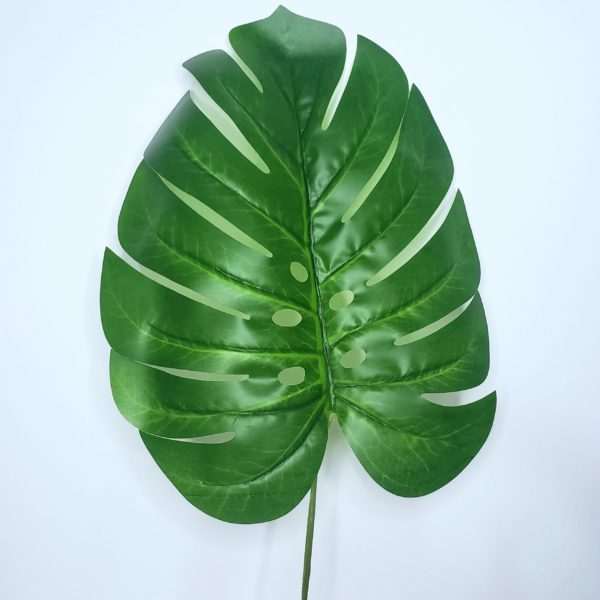 Folha Artificial Costela De Adão