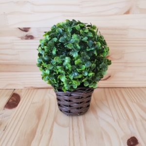 Cachepot com Buxinho