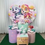 Festa Pocket Patrulha Canina Menina