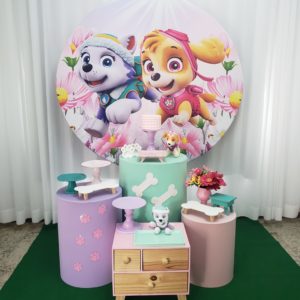 Festa Pocket Patrulha Canina Menina
