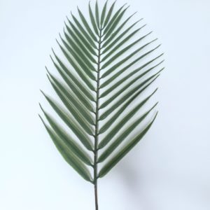 Folha de Palmeira Artificial