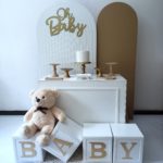 Festa Pocket Ursinho Chá Revelação / Chá de Bebê