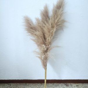 Pluma Capim dos Pampas 4 Hastes