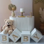 Festa Pocket Chá de Bebê / Chá Revelação cores Neutras