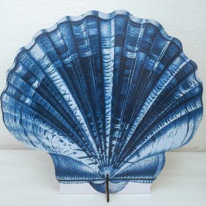 Display Concha Azul 60 cm (Locação)